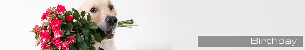 Birthday Flowers2
